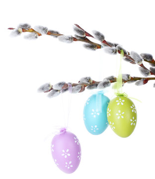 pussy-willow twigs with Easter eggs isolated on white