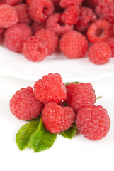 fresh raspberry
