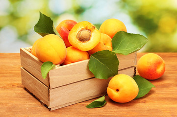 ripe apricots with leaves in wooden box