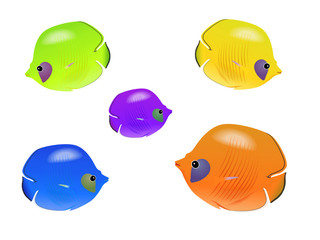 Poissons colorés © Studro Design
