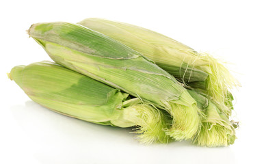 Fresh corn cobs isolated on white