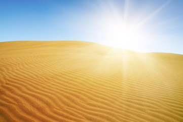 Gold desert. Sunny day. Blue sky.