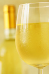 Glass and bottle of fine italian white wine, closeup