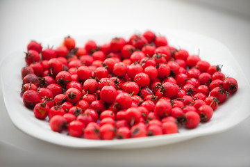 Hawthorn berries