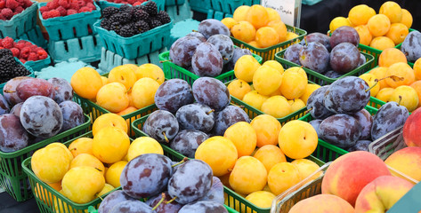 Organic plums at Farmers Market