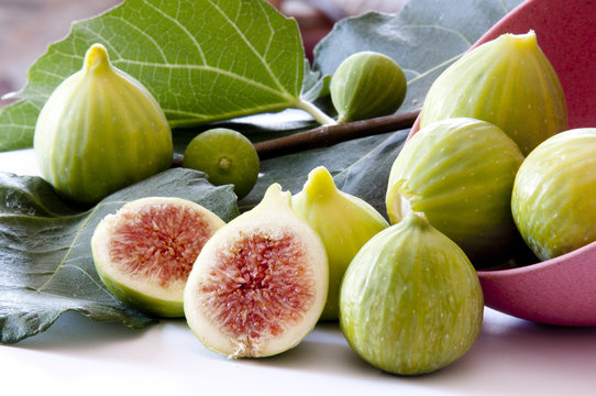 fig with leaf