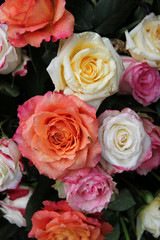 Multicolored floral arrangement