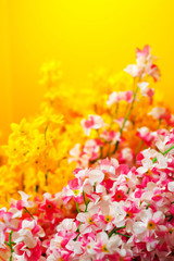 Naklejka na ściany i meble Colorful flowers on warm, yellow background. Shallow DOF.
