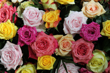 Multicolored rose bouquet