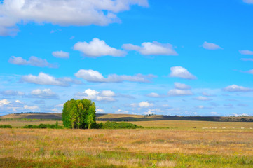 Obraz premium Beautiful summer landscape