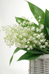 Photo sur Plexiglas Muguet Lily-of-the-valley posy in a wicker basket  on white background