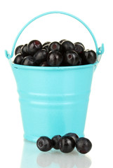 ripe blueberries in blue bucket isolated on white