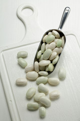 White beans in a scoop, white background