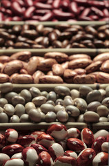 Obraz premium Assorted legumes