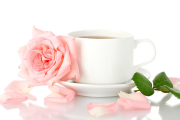 cup of tea with rose isolated on white
