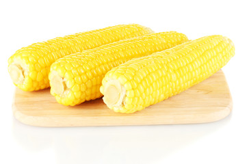 boiled corn isolated on white