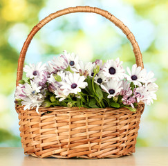 bouquet of beautiful summer flowers in basket,