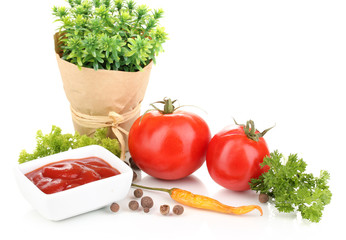Still life tomatoes ketchup and herbs isolated on white