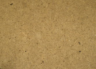 Texture of wood background closeup