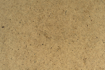 Texture of wood background closeup