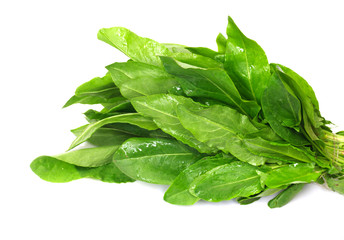 a bunch of fresh sorrel