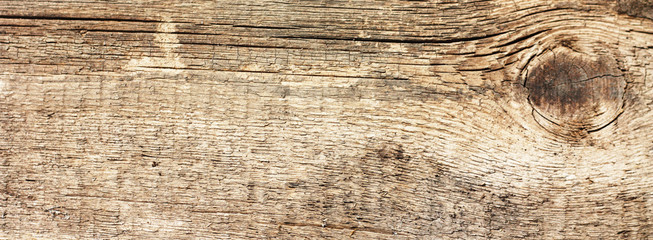 Wooden texture - can be used as a background