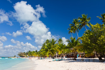 Fototapeta na wymiar Palm trees on the beach, Caribbean Sea, Dominican Republic