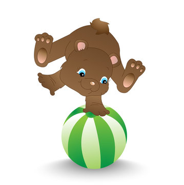 Bear balancing on a ball