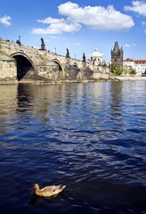 Obraz premium Charles Bridge in Prague