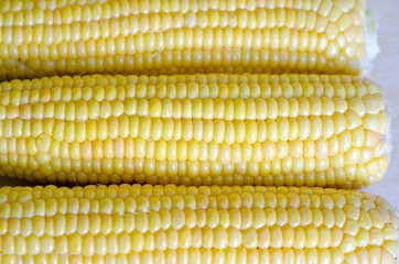 Молодая сахарная кукуруза в початках
