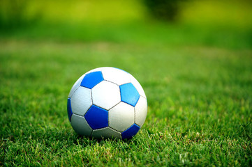 Fototapeta premium soccer ball