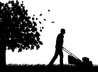 Man cut the lawn in garden in autumn or fall silhouette - obrazy, fototapety, plakaty