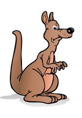 kangaroo illustration
