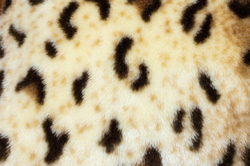 abstract texture of leopard skin