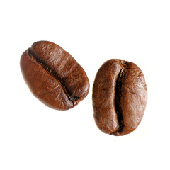 Roasted coffee beans