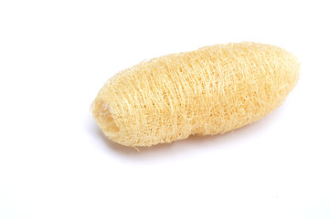 Natural scrubber of dried Ridge gourd