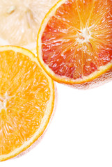 Biopsy of the orange