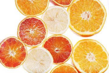 Biopsy of the orange