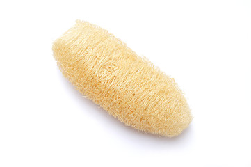Natural scrubber of dried Ridge gourd