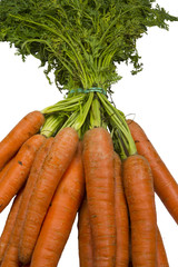Carrots