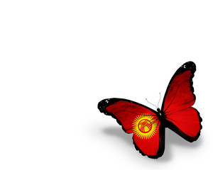 Fototapeta na wymiar Kyrgyz flag butterfly, isolated on white background