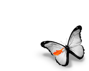 Fototapeta na wymiar Cyprian flag butterfly, isolated on white background