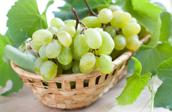 Bunches of green grapes in a wicker basket