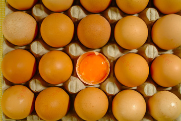 jajka w wytłaczance © npls