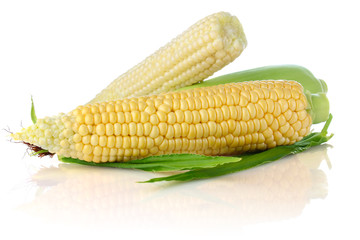 fresh corn with green leaf