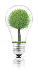 Lightbulb
