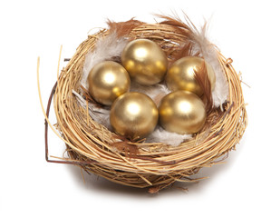 Golden egg in the nest isolated