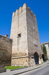 Fototapeta na wymiar Dantego wieża. Tarquinia. Lacjum. Włochy.