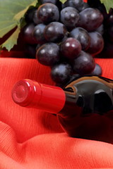 Uva nera con bottiglia di vino