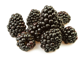 blackberry group